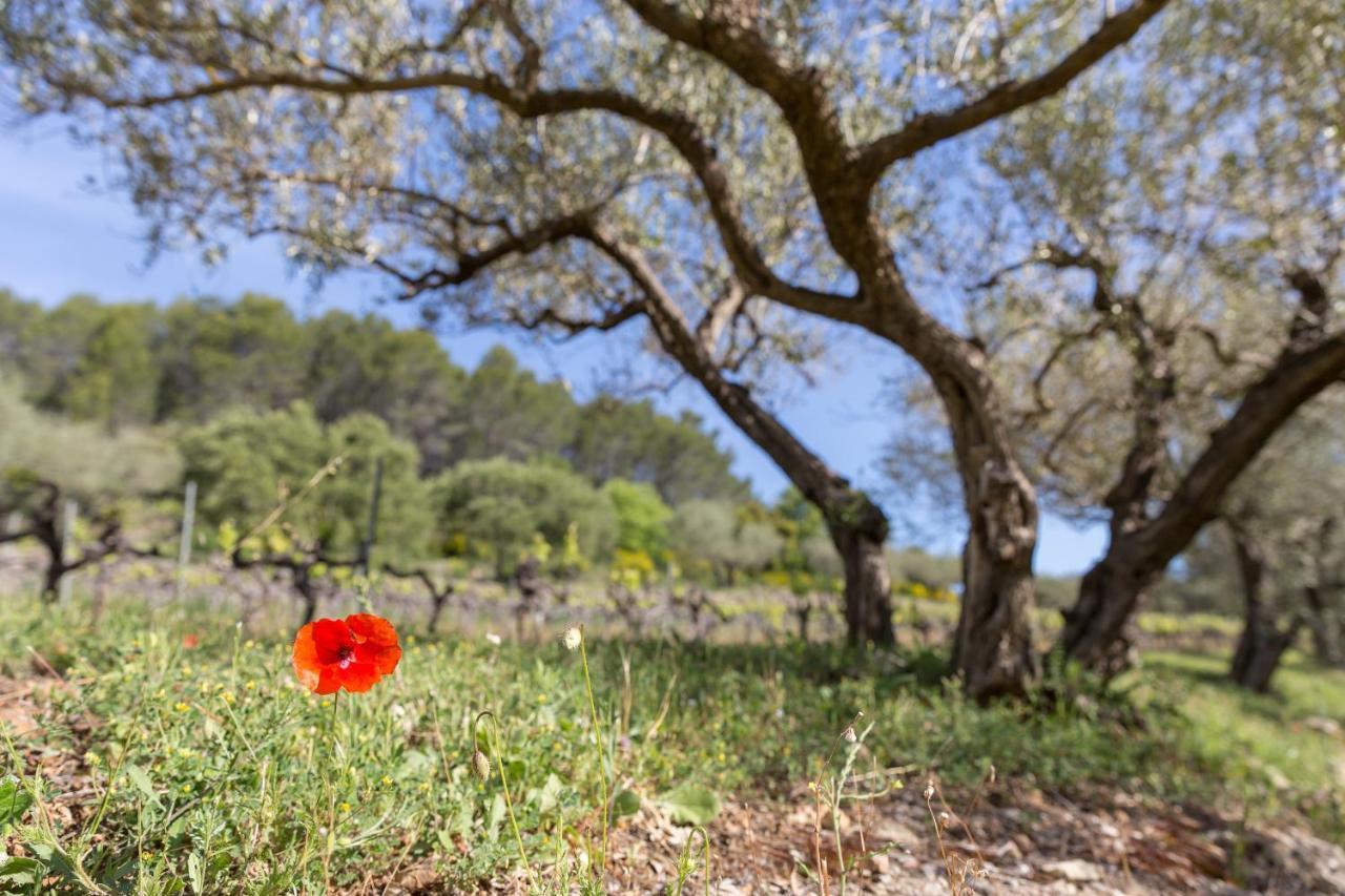 Domaine Du Clos D'Alari-Chambres D'Hotes Au Milieu Des Vignes Saint-Antonin-du-Var 외부 사진