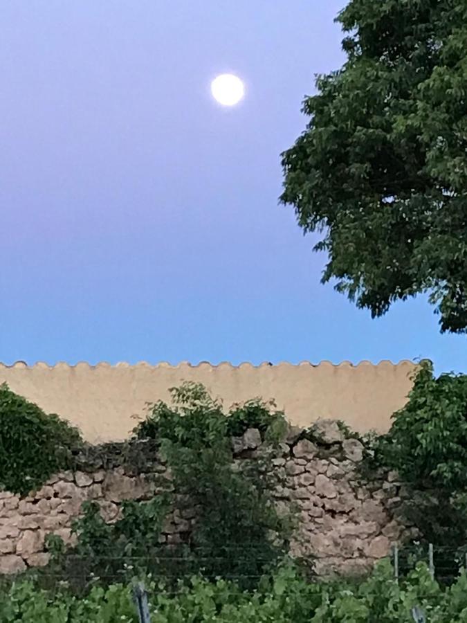 Domaine Du Clos D'Alari-Chambres D'Hotes Au Milieu Des Vignes Saint-Antonin-du-Var 외부 사진