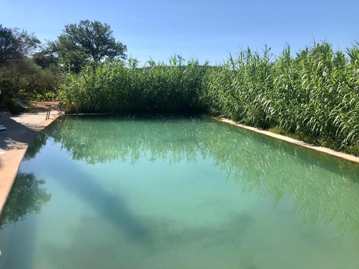 Domaine Du Clos D'Alari-Chambres D'Hotes Au Milieu Des Vignes Saint-Antonin-du-Var 외부 사진