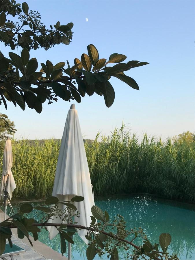 Domaine Du Clos D'Alari-Chambres D'Hotes Au Milieu Des Vignes Saint-Antonin-du-Var 외부 사진
