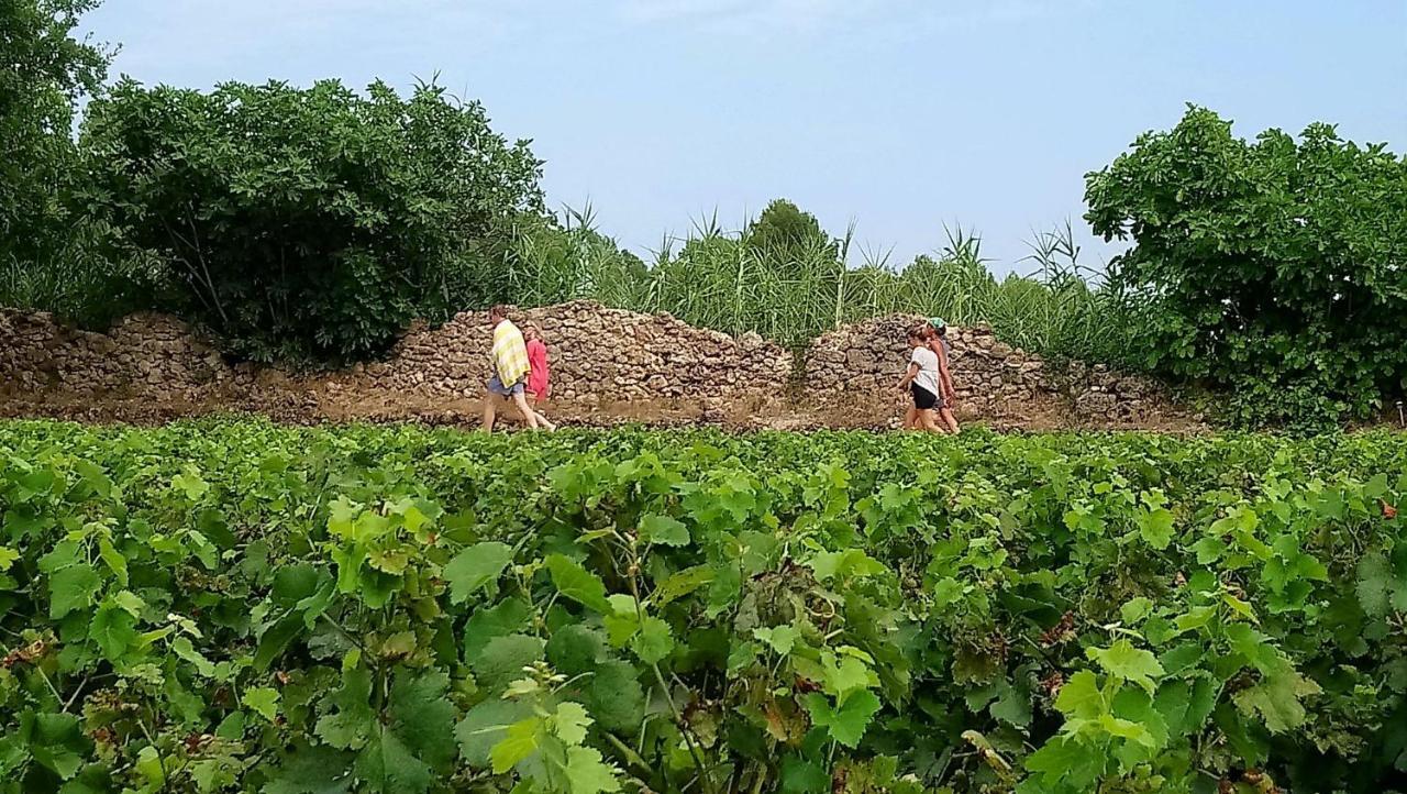 Domaine Du Clos D'Alari-Chambres D'Hotes Au Milieu Des Vignes Saint-Antonin-du-Var 외부 사진