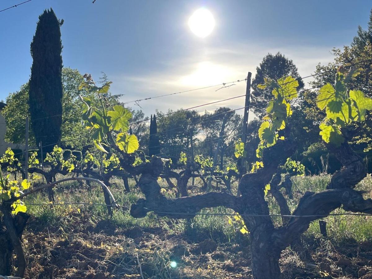 Domaine Du Clos D'Alari-Chambres D'Hotes Au Milieu Des Vignes Saint-Antonin-du-Var 외부 사진