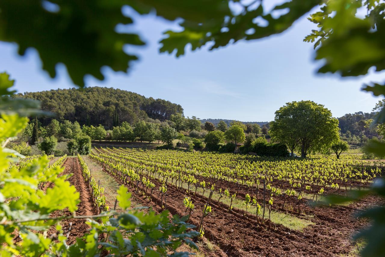 Domaine Du Clos D'Alari-Chambres D'Hotes Au Milieu Des Vignes Saint-Antonin-du-Var 외부 사진